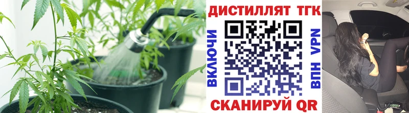 сайты даркнета формула  Шенкурск  ТГК THC oil 