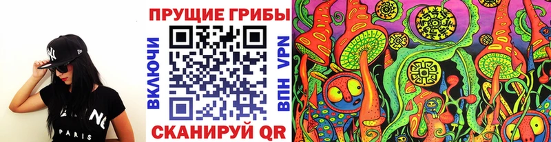 Галлюциногенные грибы Psilocybine cubensis  Шенкурск 
